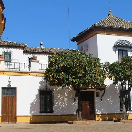 Lejlighed Plaza De Toros Jerez De Los Caballeros